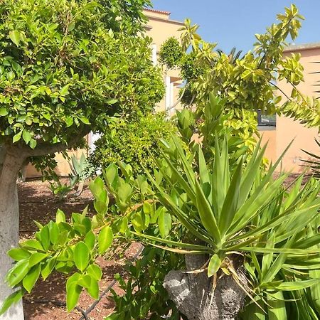 Ocean View Apartment In Orlando Costa Adeje  Exterior foto