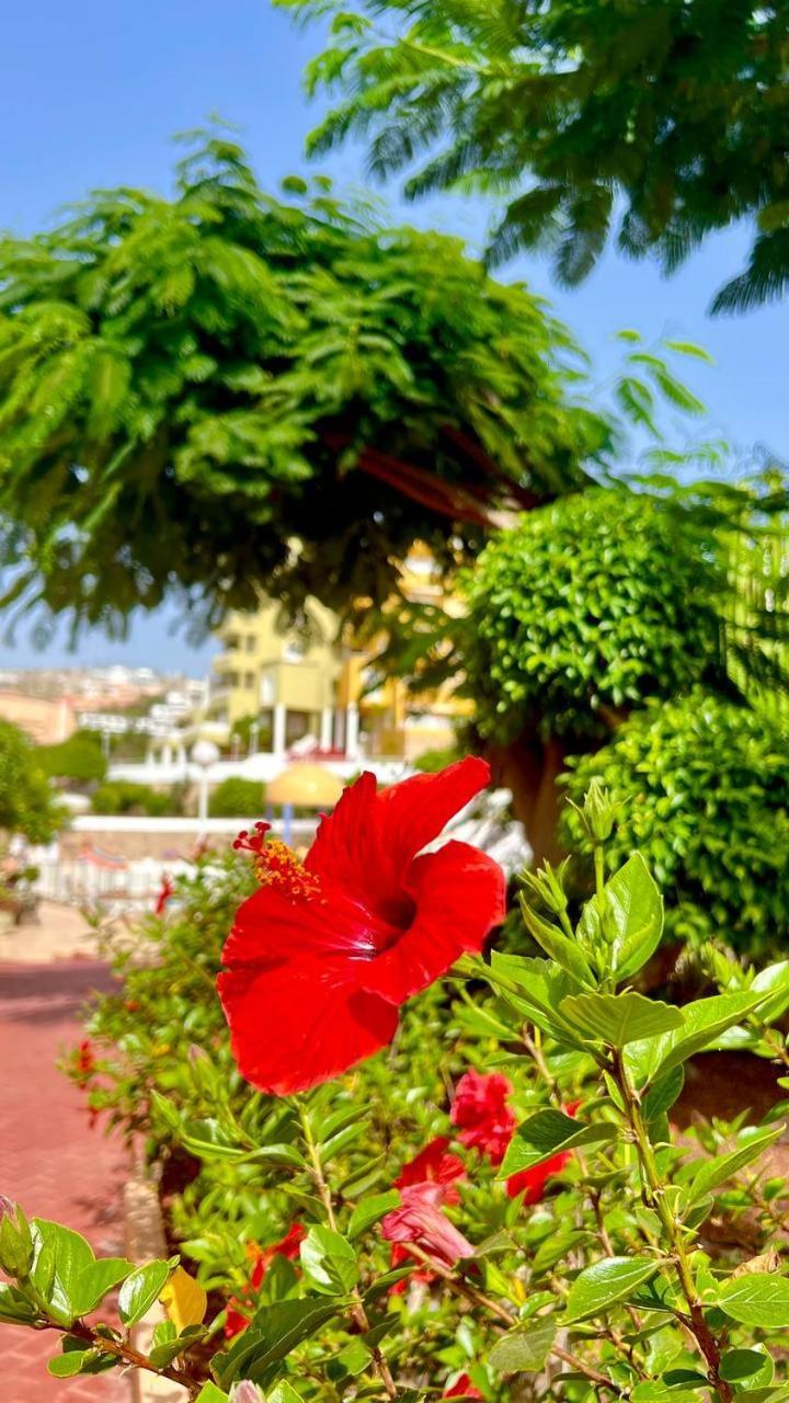 Ocean View Apartment In Orlando Costa Adeje  Exterior foto